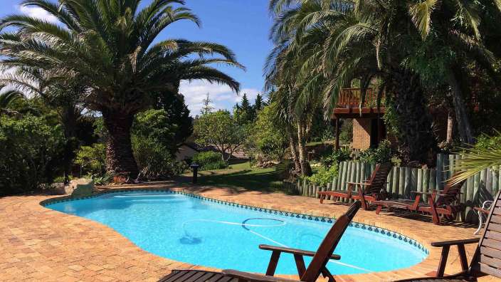 Ein großer Swimmingpool umgeben von Palmen und Holzstühlen