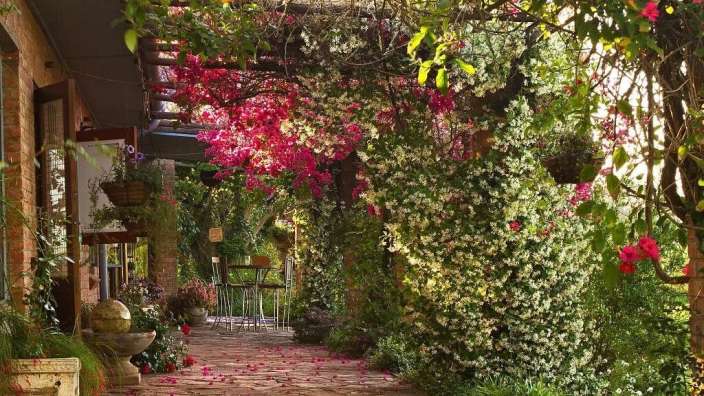 Eine Pergola mit rosa und weißen Blumen über einem Steinweg