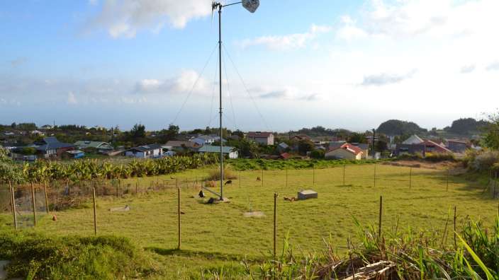 Ein Feld mit einer Windkraftanlage in der Mitte