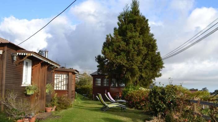 Ein kleines Holzhaus neben einem großen Baum