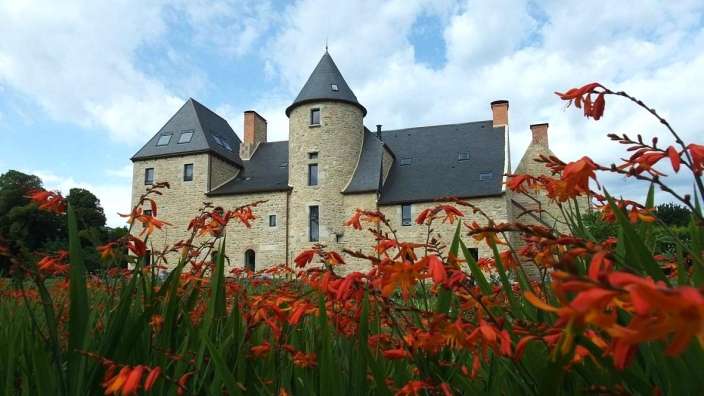 Ein großes Gebäude mit einem Turm sitzt hinter einem Feld mit roten Blumen