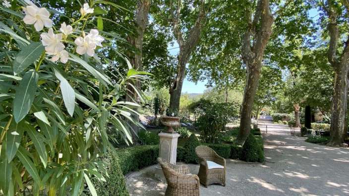 Ein Garten mit Stühlen und einer Vase in der Mitte