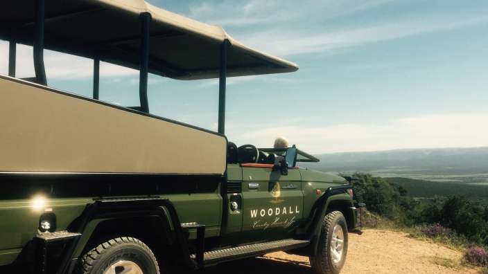 Ein grüner jeep mit dem schriftzug woodall auf der seite