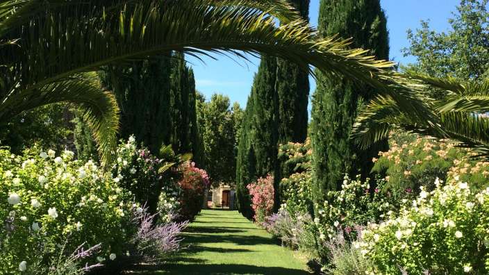 Ein Garten mit Palmen und Blumen an einem sonnigen Tag