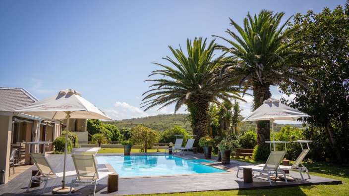 Ein Pool mit Liegestühlen und Sonnenschirmen umgeben von Palmen