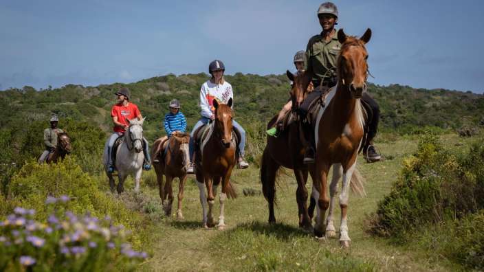 Eine Gruppe von Menschen reitet auf Pferden in einem Feld