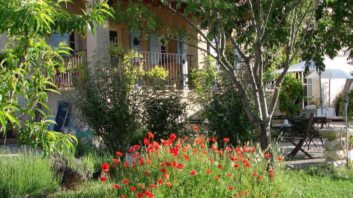 Ein Garten mit roten Blumen und einem Haus im Hintergrund