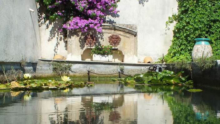 Ein Teich mit Seerosen und einer Vase im Hintergrund