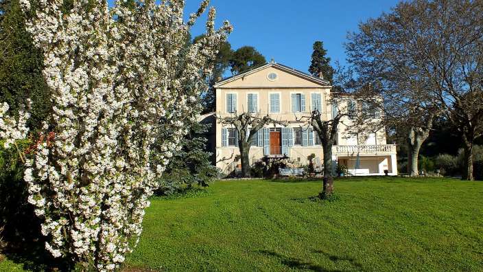 Ein Baum mit weißen Blüten steht vor einem großen Haus