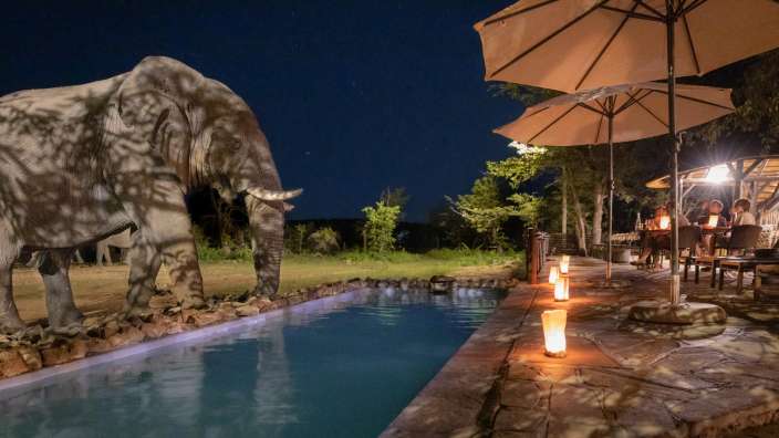 Ein Elefant steht in der Nähe eines Pools in der Nacht