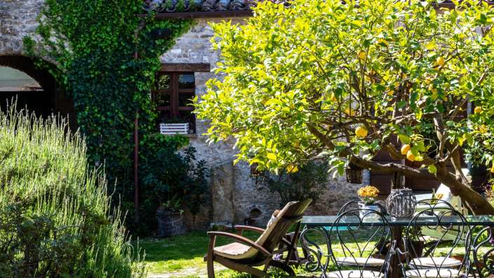 Ein Tisch und Stühle in einem Garten neben einem Zitronenbaum