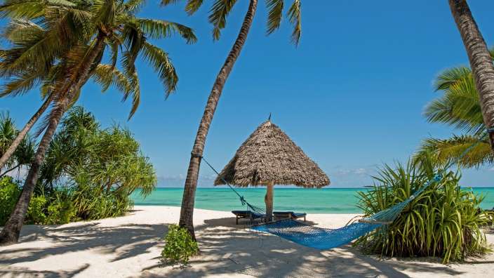 Ein Strand mit einer Hängematte und einem Strohdach