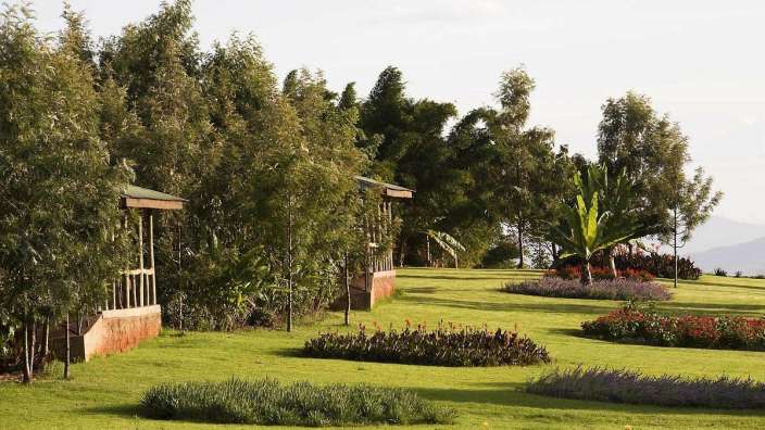 Ein grüner Rasen mit einem Gebäude im Hintergrund