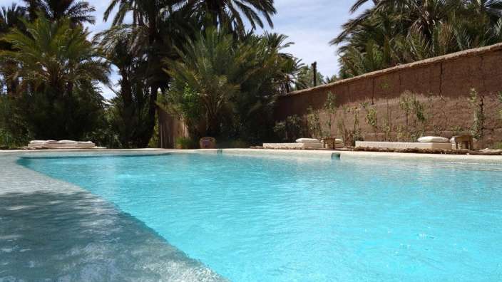Ein großer Swimmingpool mit Palmen im Hintergrund