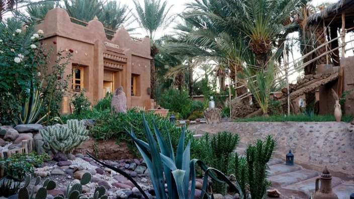 Ein Garten mit Kakteen und Palmen mit einem Gebäude im Hintergrund