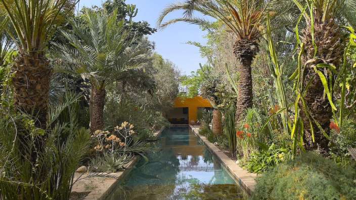 Ein Swimmingpool umgeben von Palmen und anderen Pflanzen