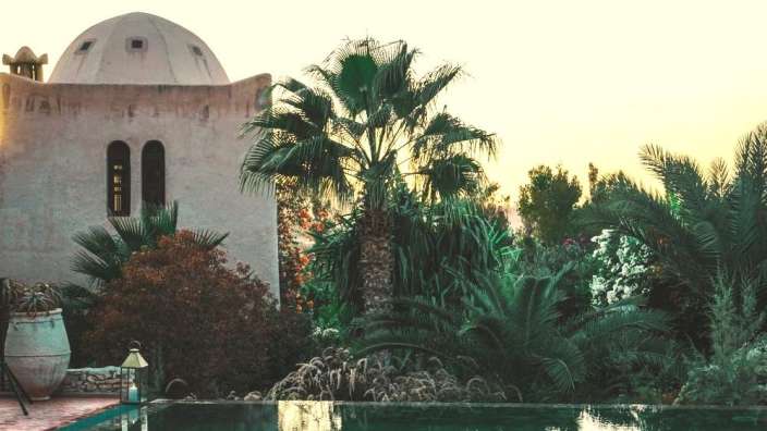 Ein Pool mit Palmen und einem Gebäude im Hintergrund