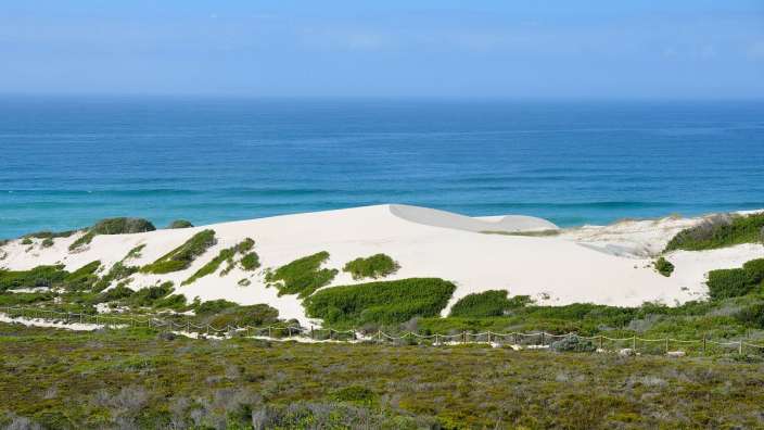 Eine große Sanddüne in der Nähe des Ozeans