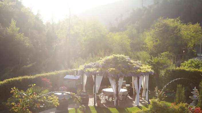 Die Sonne scheint durch die Bäume an einem sonnigen Tag