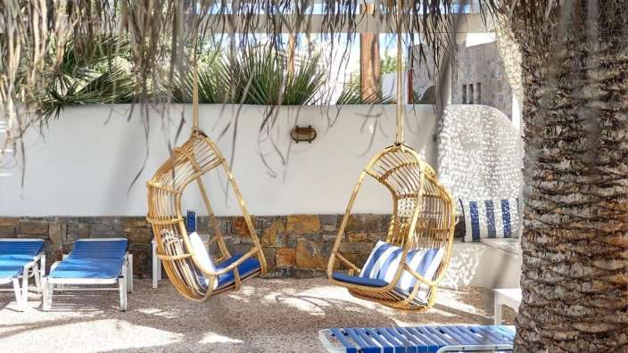 Zwei Korbstühle hängen an einer Palme