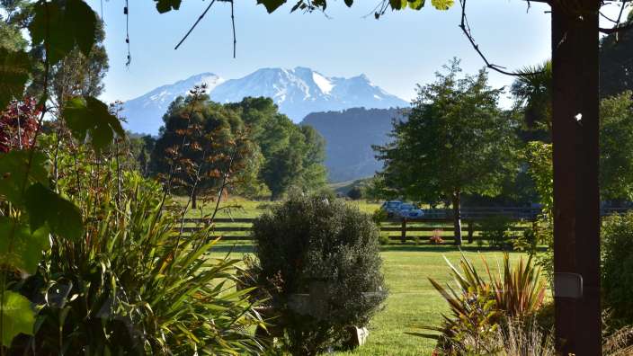 Ein Blick auf einen schneebedeckten Berg aus einem Garten