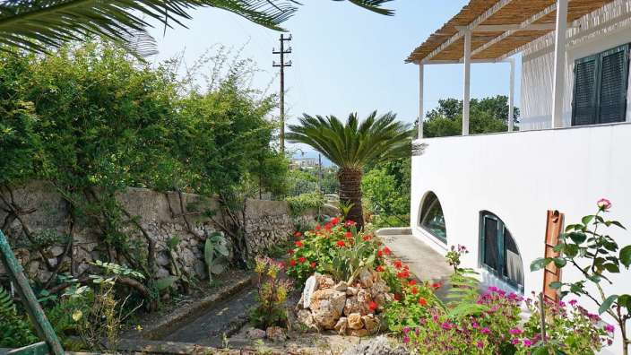 Ein weißes Haus mit einer Palme davor