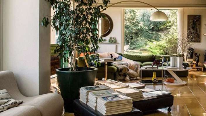 Ein Wohnzimmer mit vielen Büchern und einer Pflanze