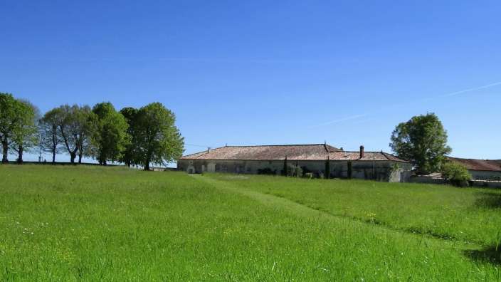 Ein riesiges grünes Feld mit einem Gebäude im Hintergrund