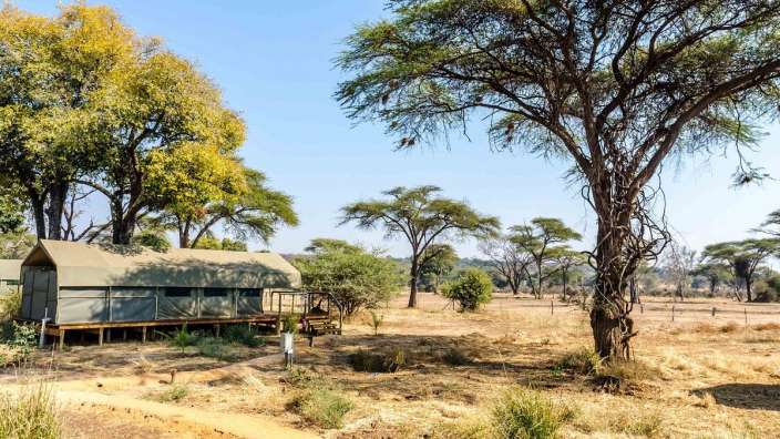 Ein Zelt steht in einem Feld neben einem Baum