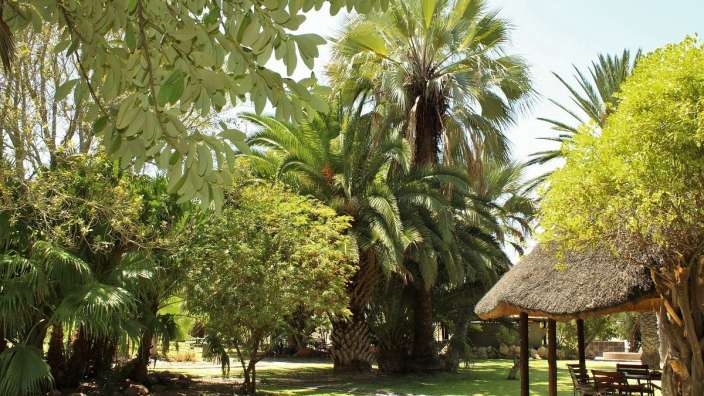 Ein Garten mit Palmen und einem Strohdach