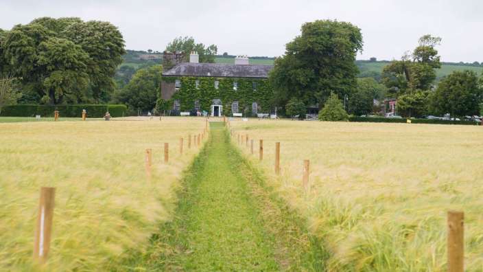 Ein Feld mit einem großen Gebäude im Hintergrund