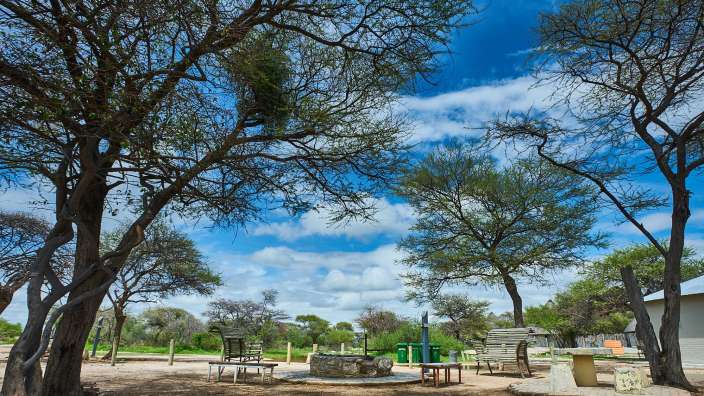 Ein Picknickplatz mit Bäumen und Stühlen vor einem blauen Himmel