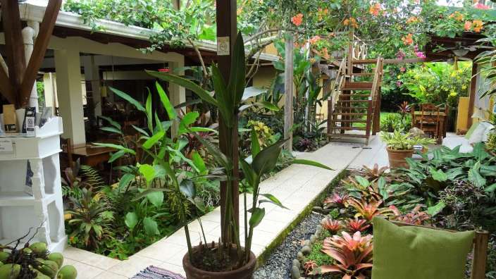 Ein Garten mit vielen Pflanzen und einem grünen Kissen