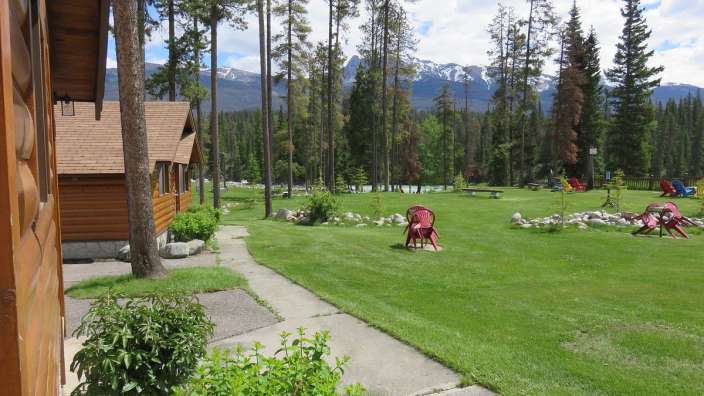 Eine Reihe roter Stühle sitzen auf einem grünen Rasen