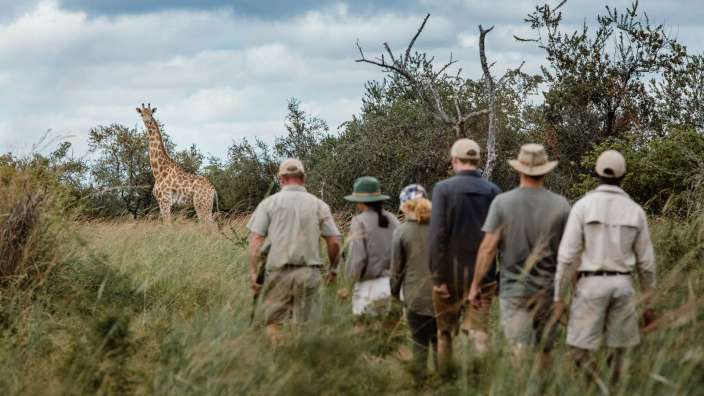 Eine Gruppe von Menschen geht auf einem Feld mit einer Giraffe im Hintergrund