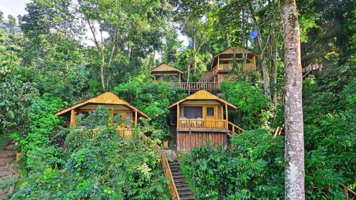 Hölzerne Pfahlbauten: Lodge am Bwindi Forest