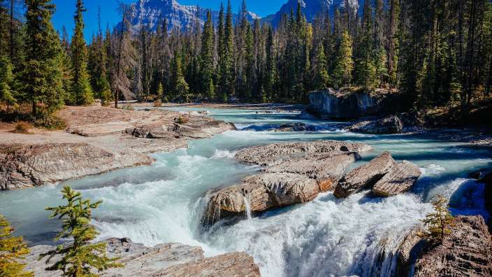 Ein türkisfarbener Fluss fließt durch eine felsige Schlucht mit Kiefernwäldern und hohen Bergen im Hintergrund.