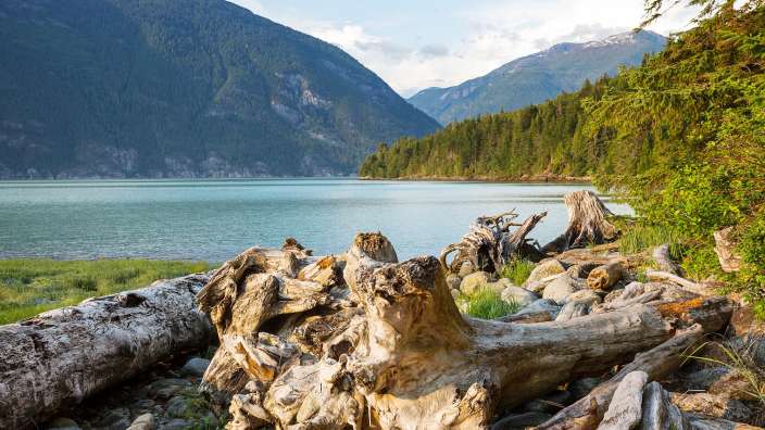 Im Vordergrund liegen Treibhölzer auf einem steinigen Ufer, dahinter ein Fluss oder See und bewaldete Berge im Hintergrund.
