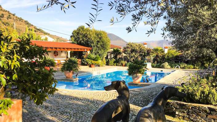 Zwei Statuen von Hunden stehen in der Nähe eines Swimmingpools