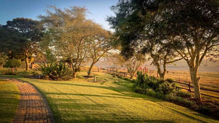 Ein Backsteinweg führt durch einen üppigen grünen Garten