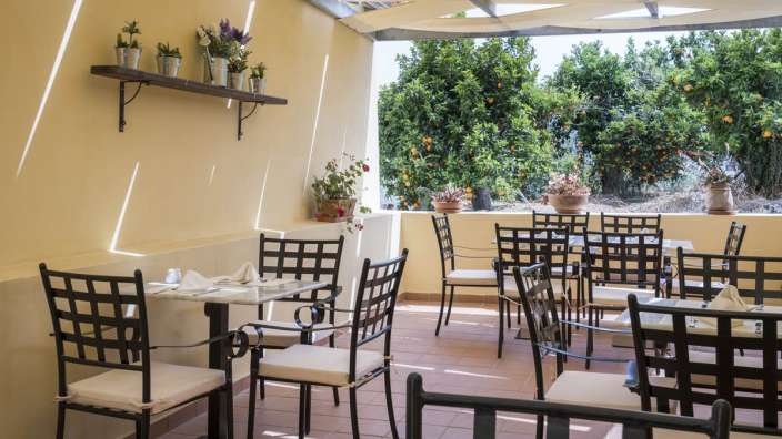 Tische und Stühle auf einer Terrasse mit Bäumen im Hintergrund
