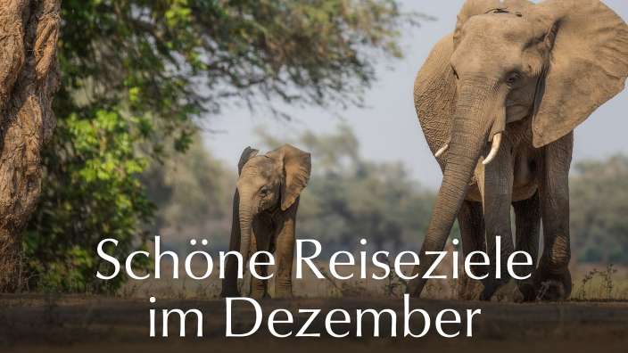 Ein Bild von zwei Elefanten und der Aufschrift schöne reiseziele im dezember
