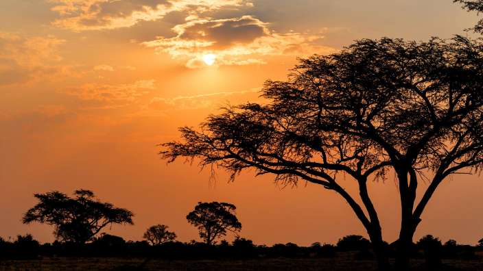 Ein Sonnenuntergang mit Bäumen im Vordergrund
