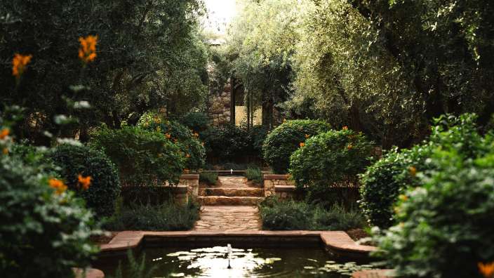 Ein Brunnen in einem Garten mit vielen Bäumen