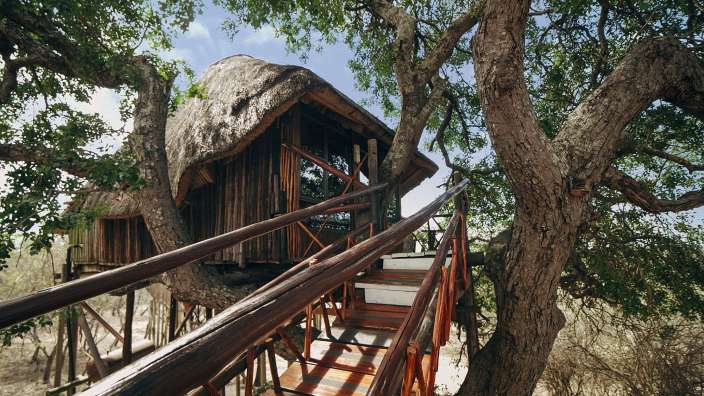 Eine Treppe führt zu einem Baumhaus mit Strohdach