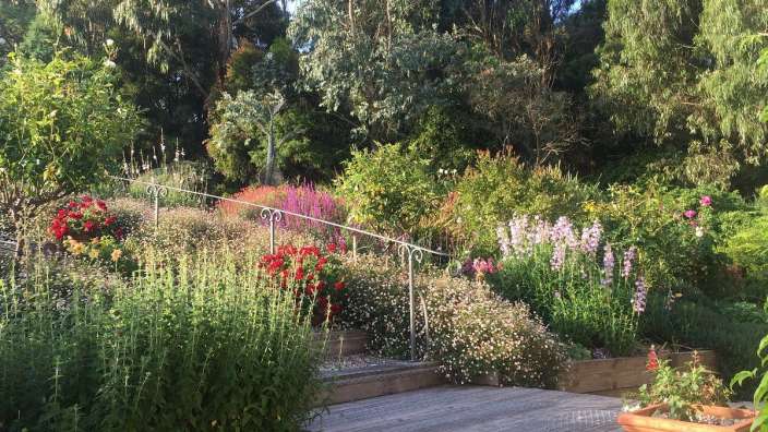 Ein Garten mit vielen Blumen und einem Holzdeck