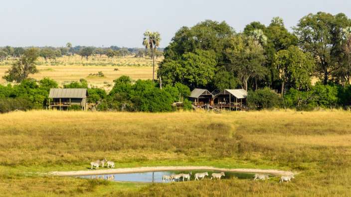 Eine Herde Zebras steht in einem Feld neben einem Teich