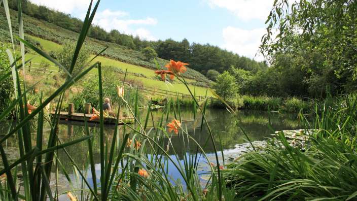 Ein Mann sitzt auf einem Holzsteg über einem Teich