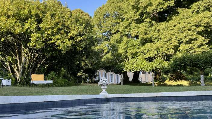 Ein Swimmingpool mit Bäumen im Hintergrund und einer Statue in der Mitte