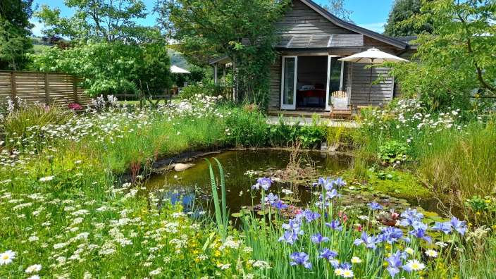 Ein Teich in einem Garten neben einem kleinen Haus